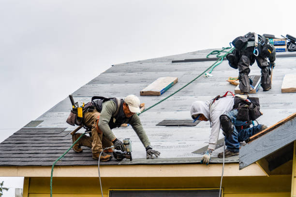 Professional Gutter Installation technician working in Capron, IL